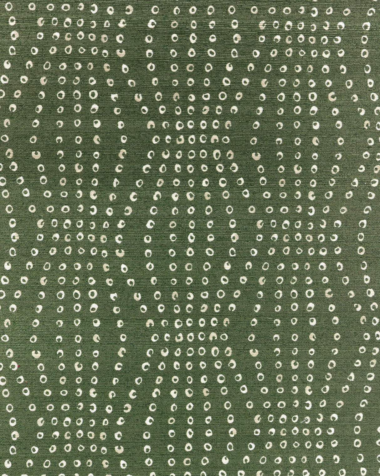 Kravet PUKA BOTTLE Wallpaper