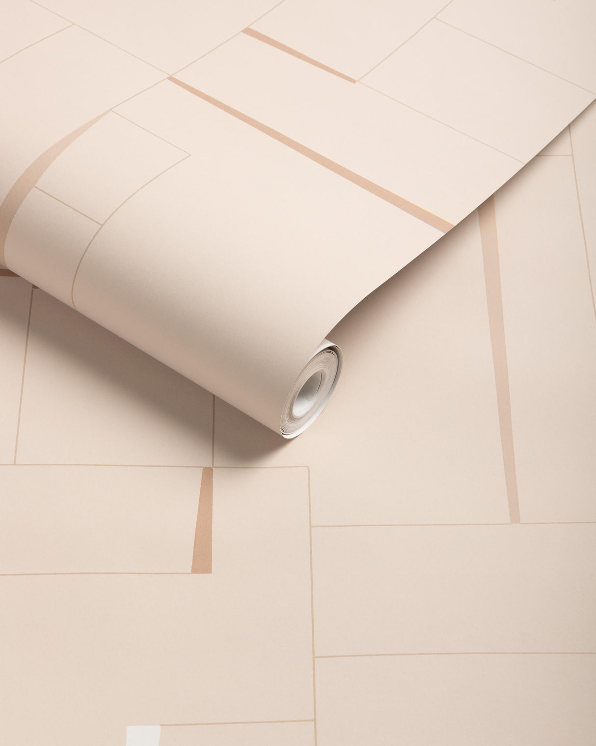 Kravet COUNTERCULTURE SHELL Wallpaper