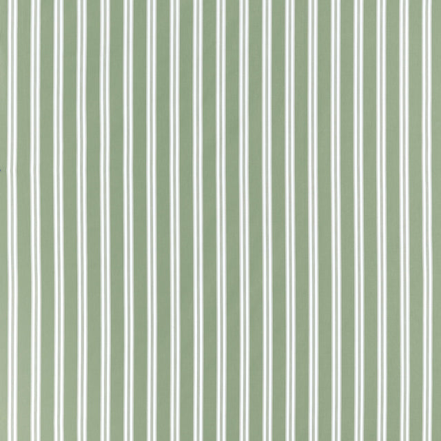 Anna French Payton Stripe Green Fabric