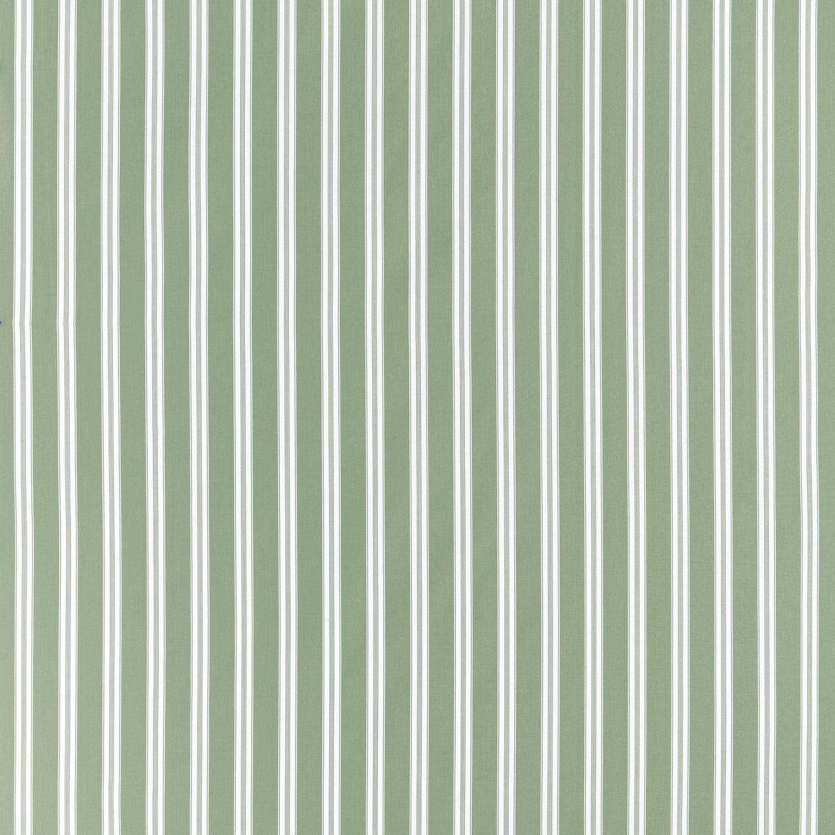Anna French Payton Stripe Green Fabric