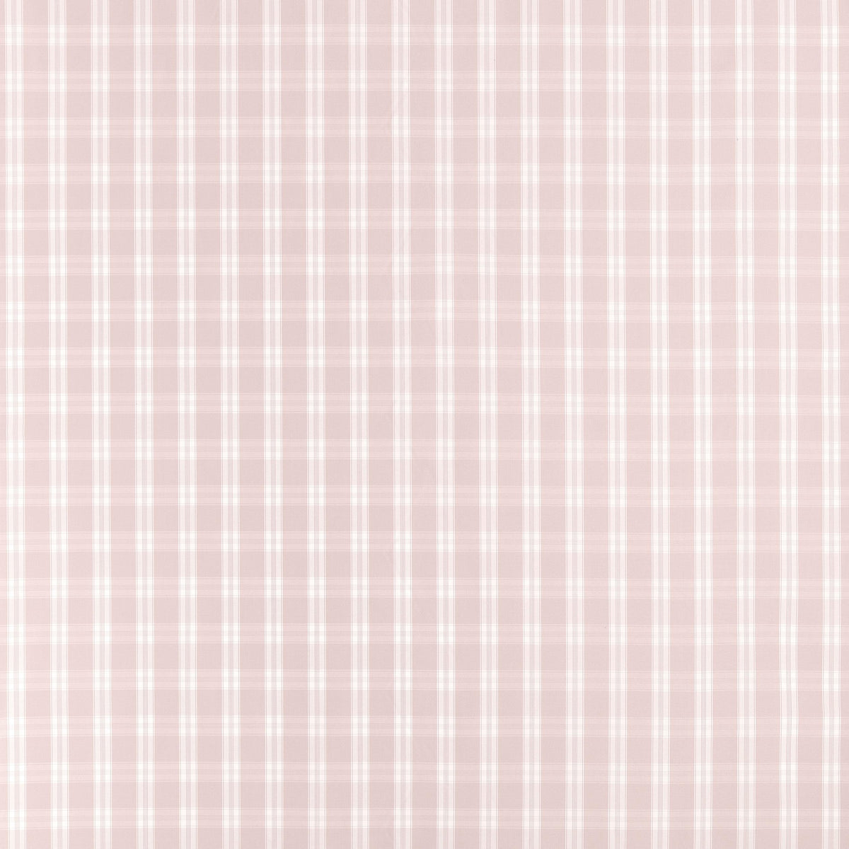 Anna French Payton Check Blush Fabric