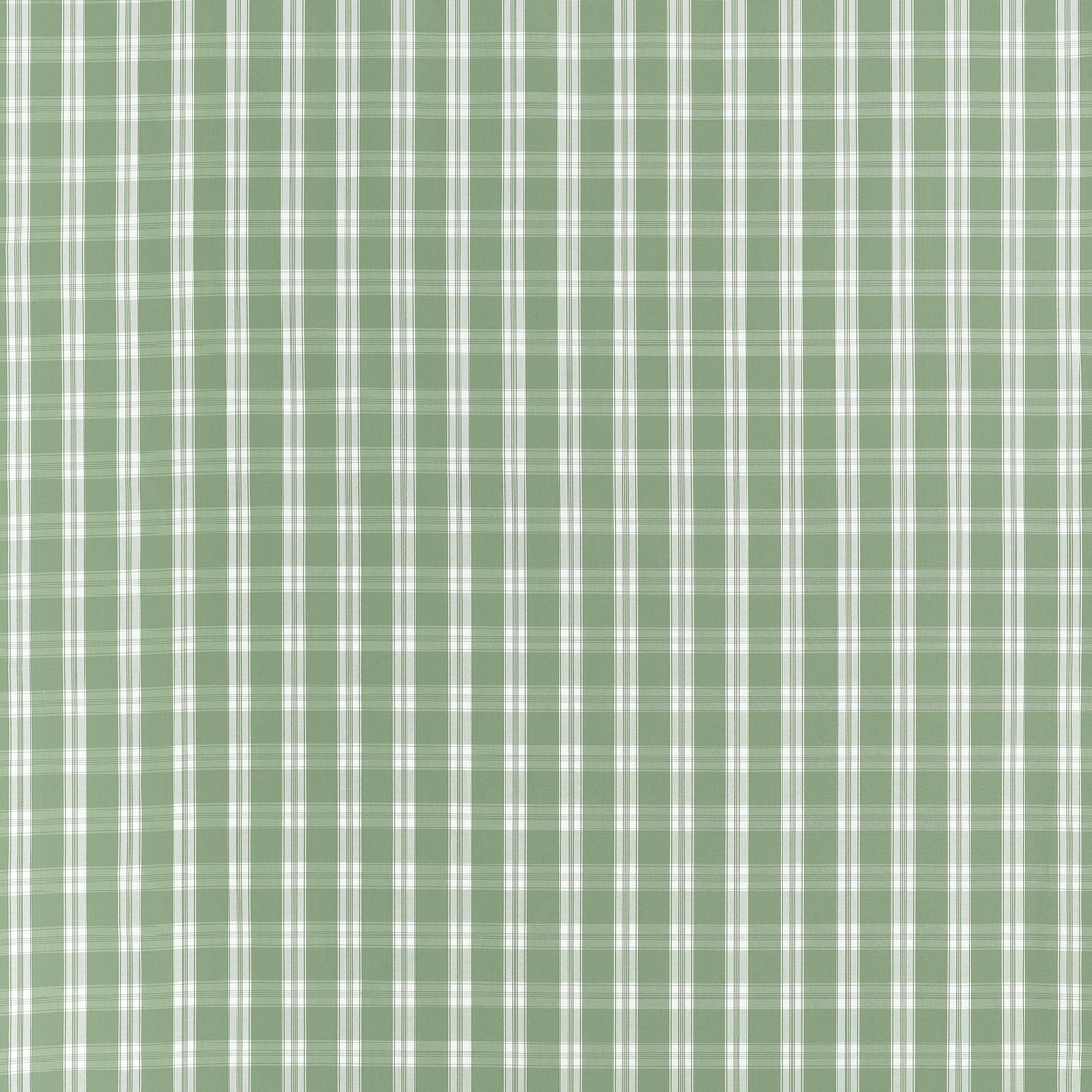 Anna French Payton Check Green Fabric