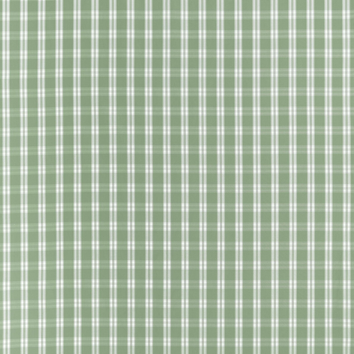 Anna French Payton Check Green Fabric