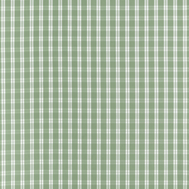 Anna French Payton Check Green Fabric