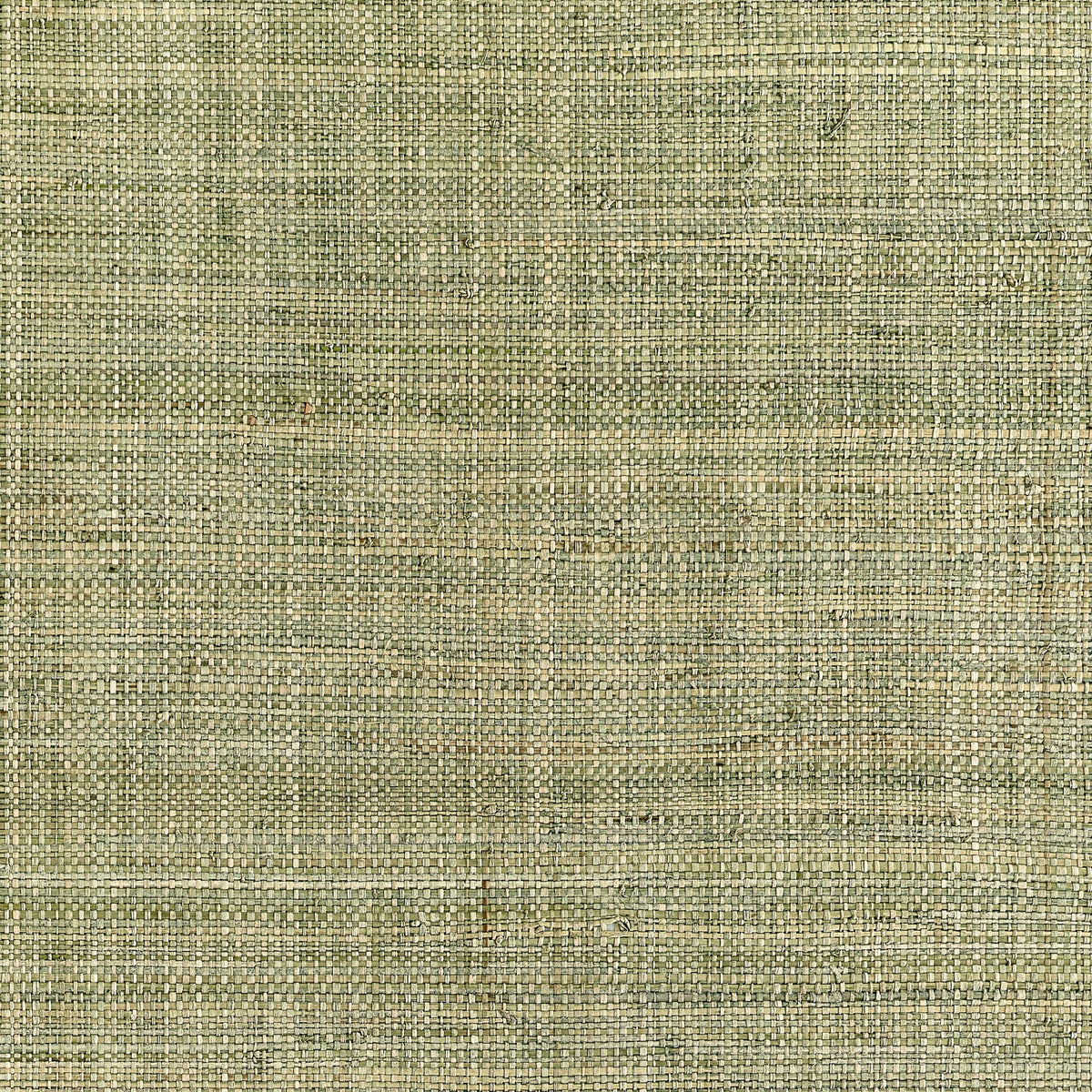 Thibaut Mackinac Sage Wallpaper