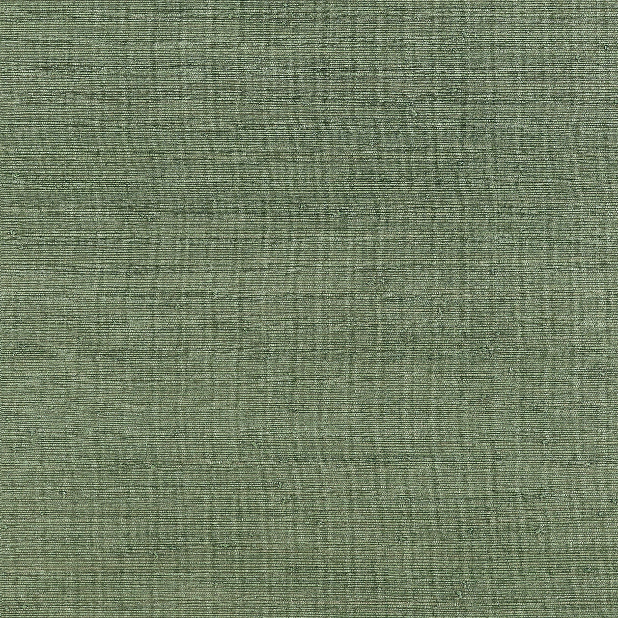 Thibaut Montgomery Weave Green Wallpaper