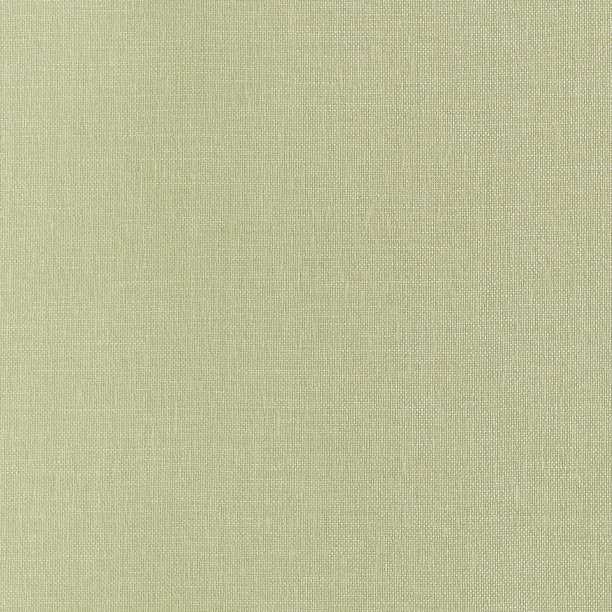 Thibaut Hampton Apple Green Wallpaper