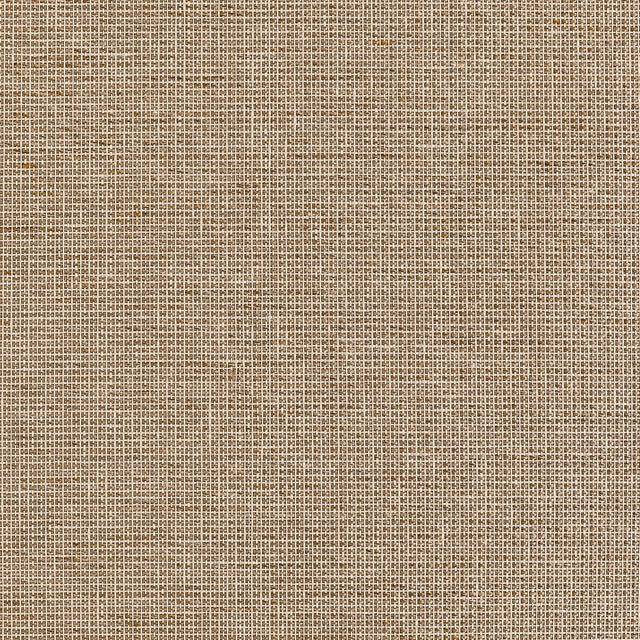 Thibaut Harrison Tan Wallpaper