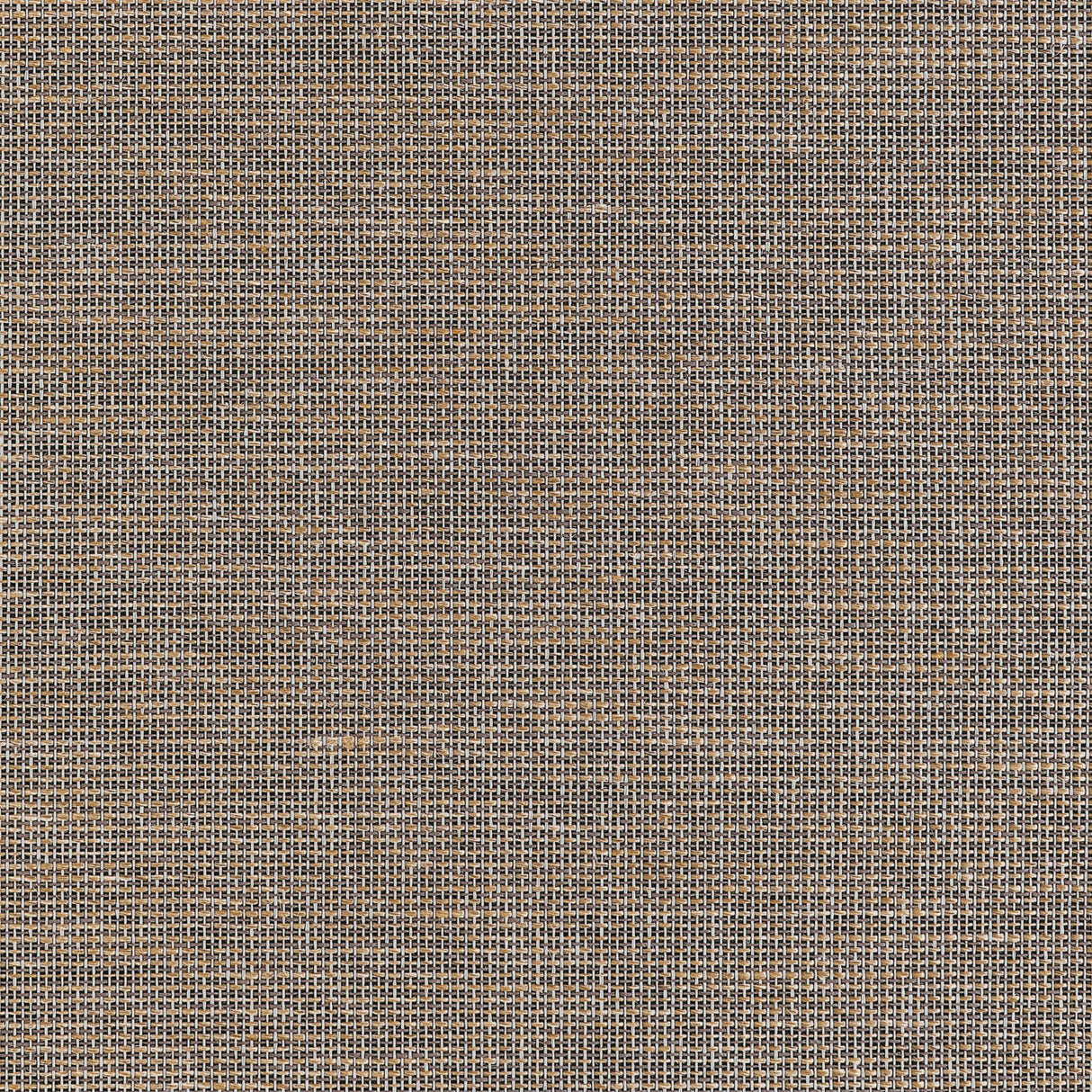 Thibaut Harrison Black Wallpaper