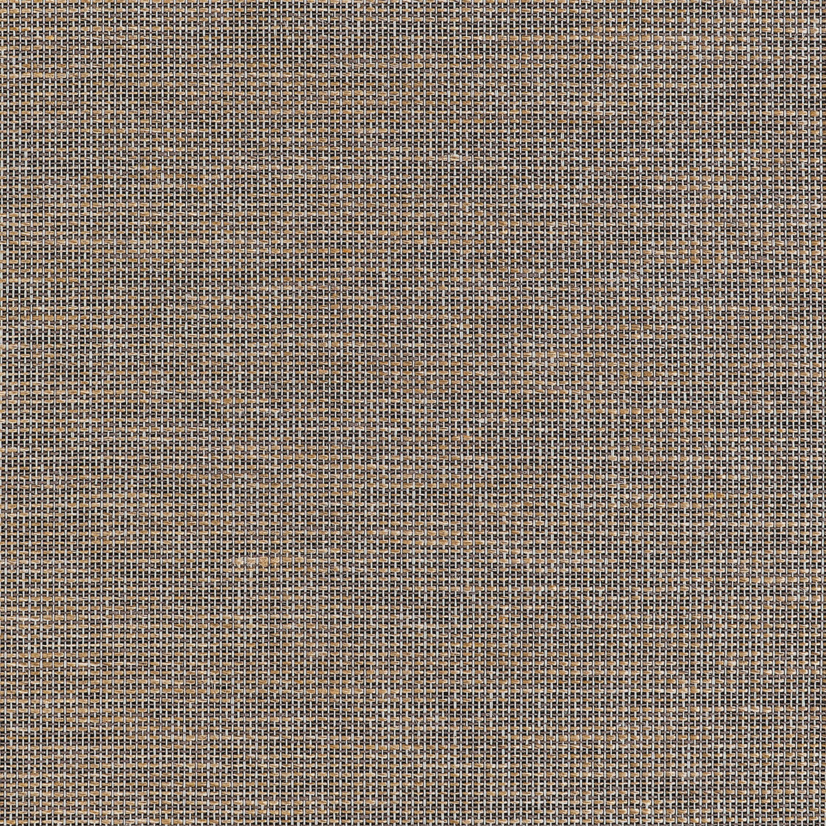 Thibaut Harrison Black Wallpaper