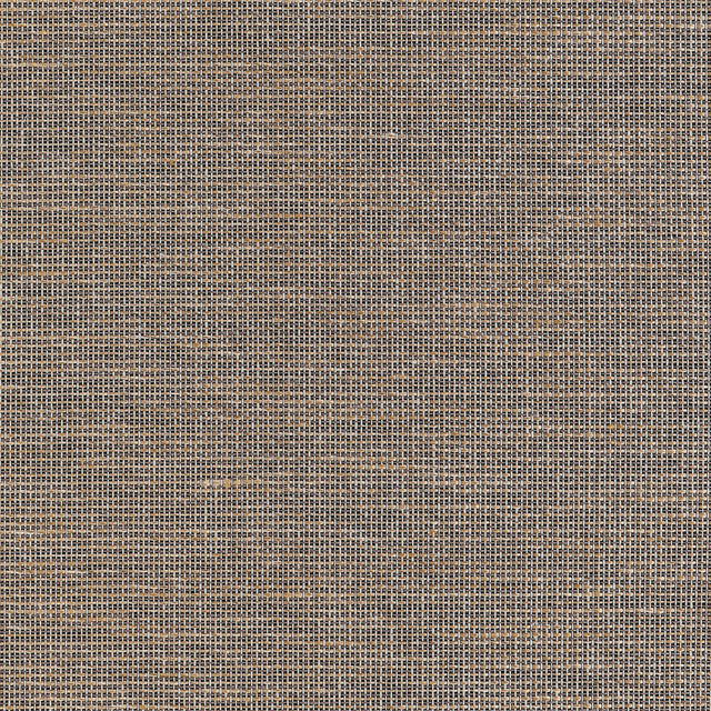 Thibaut Harrison Black Wallpaper