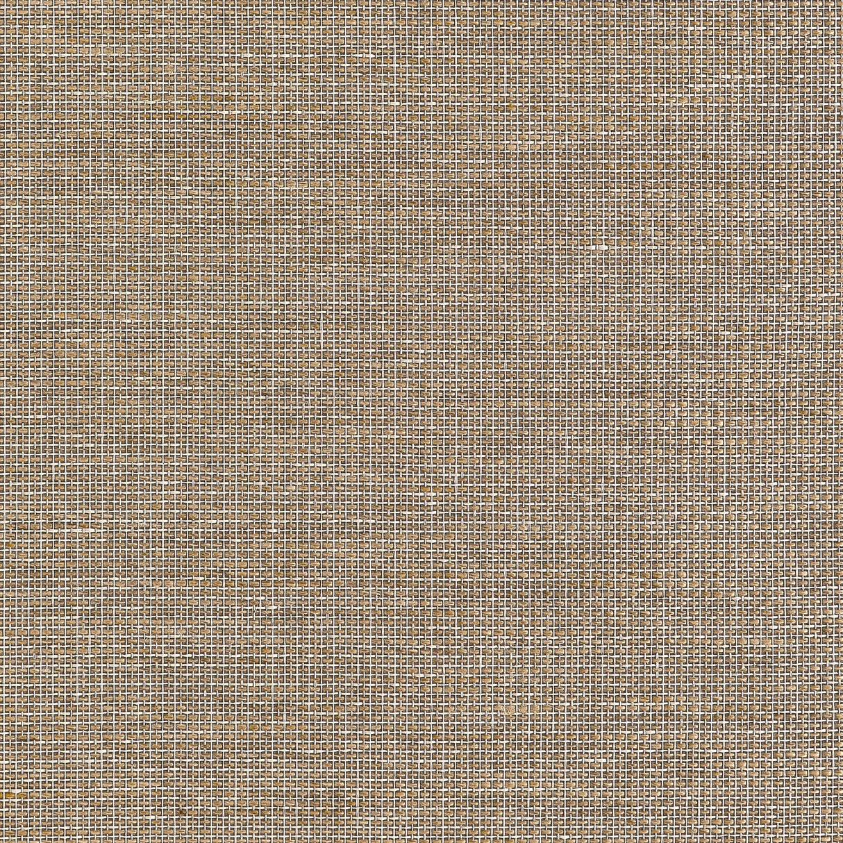 Thibaut Harrison Brown Wallpaper