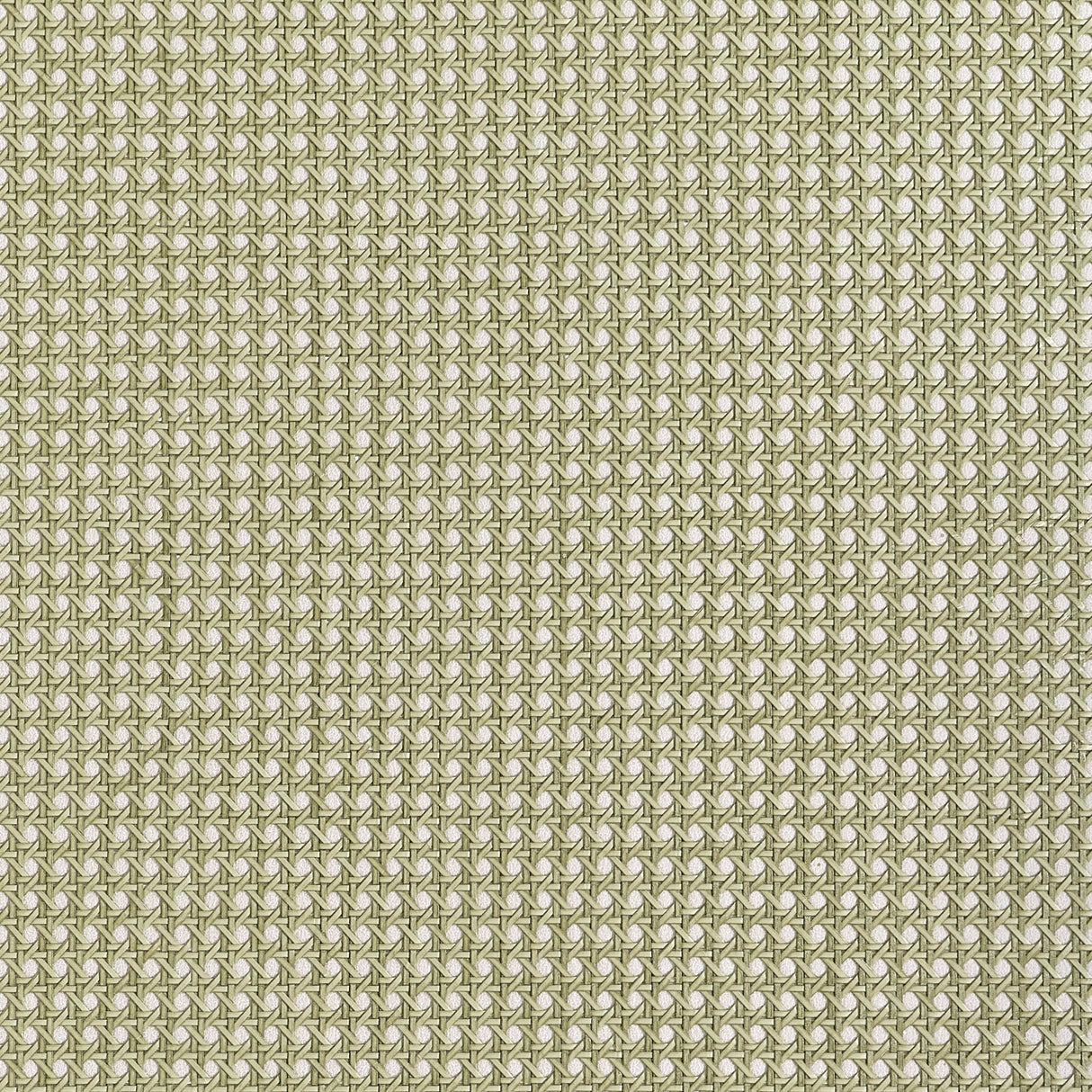 Thibaut Paper Rattan Olive Wallpaper