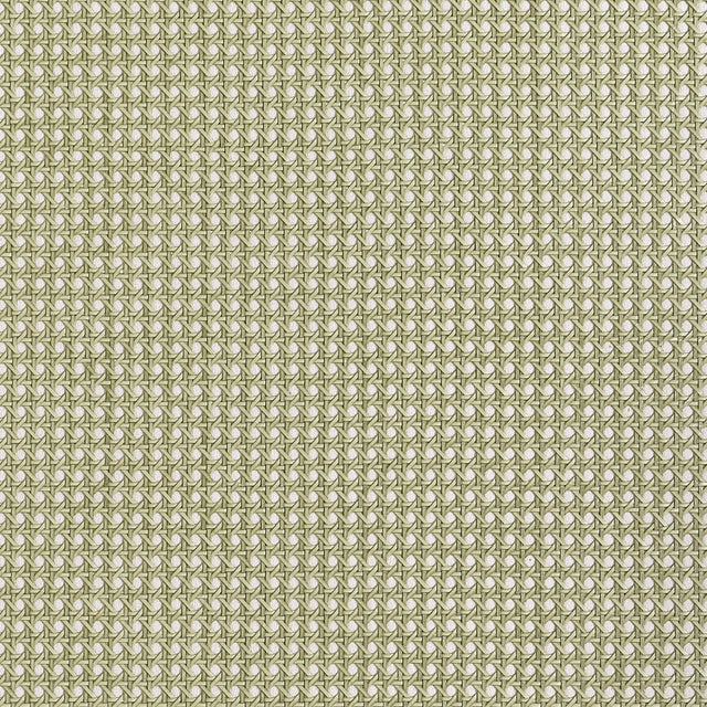 Thibaut Paper Rattan Olive Wallpaper