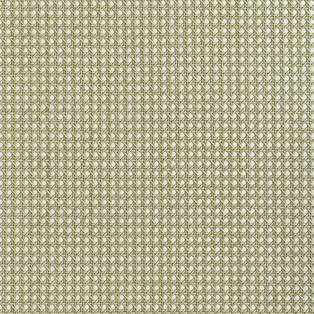 Thibaut Paper Rattan Olive Wallpaper