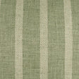 D.V. Kap Home Mesmerize Aloe Fabric