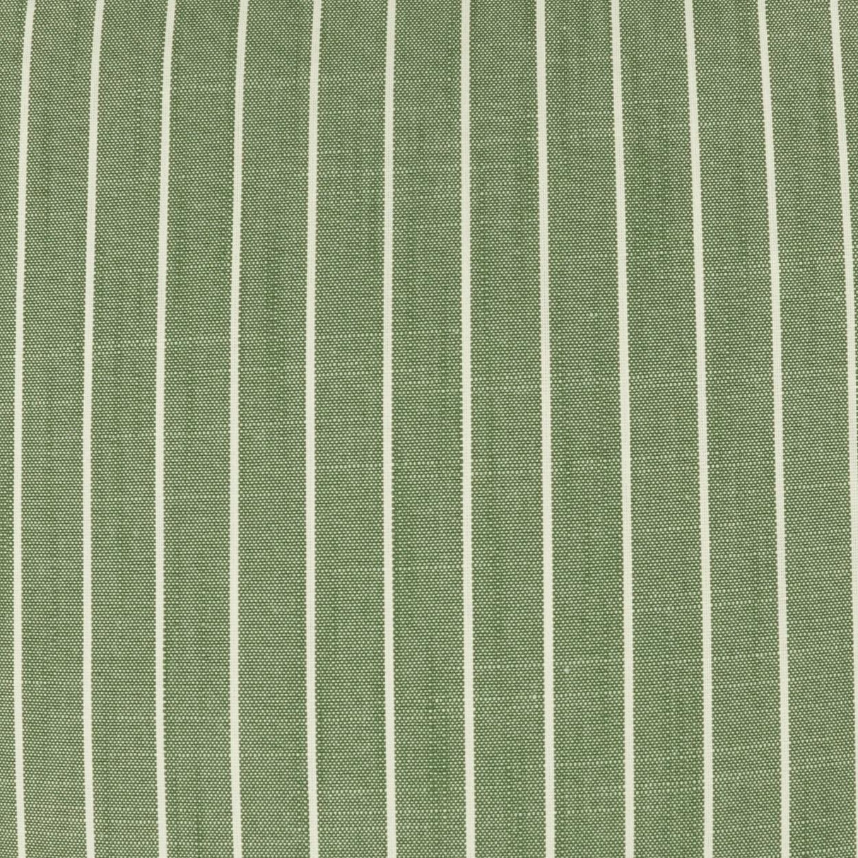 D.V. Kap Home Butler Ivy Fabric