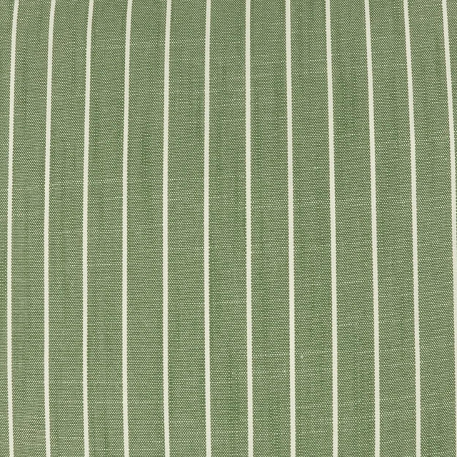 D.V. Kap Home Butler Ivy Fabric
