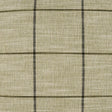 D.V. Kap Home Bowden Fern Fabric