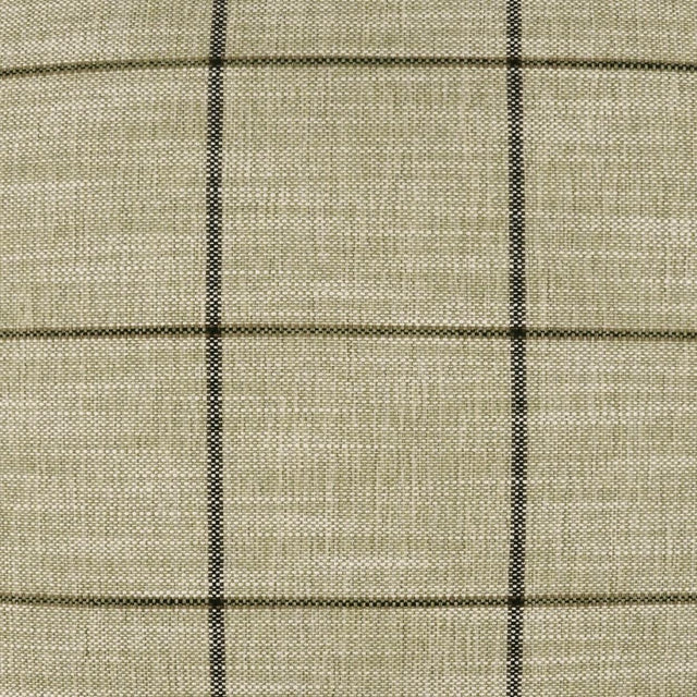 D.V. Kap Home Bowden Fern Fabric