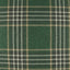 D.V. Kap Home Yarmouth Green Fabric