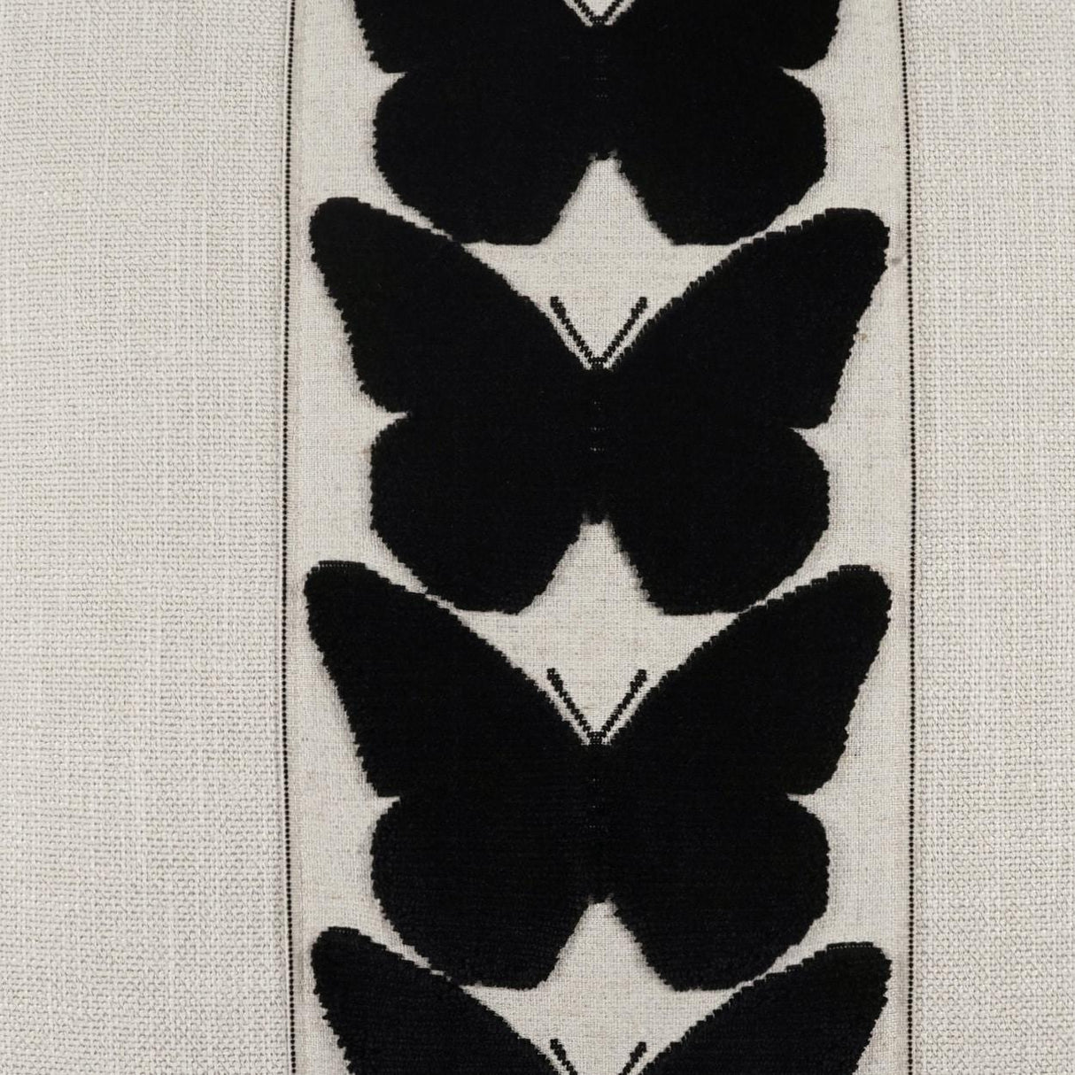 D.V. Kap Home Coleous Jet 24" x 24" Pillow