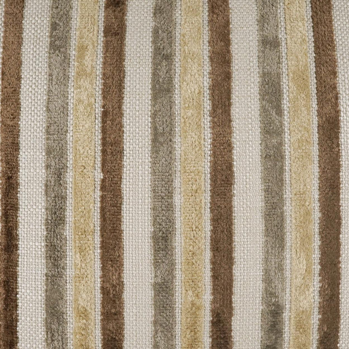 D.V. Kap Home Borderline Mocha Fabric