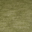 D.V. Kap Home Fozzie Fern Fabric