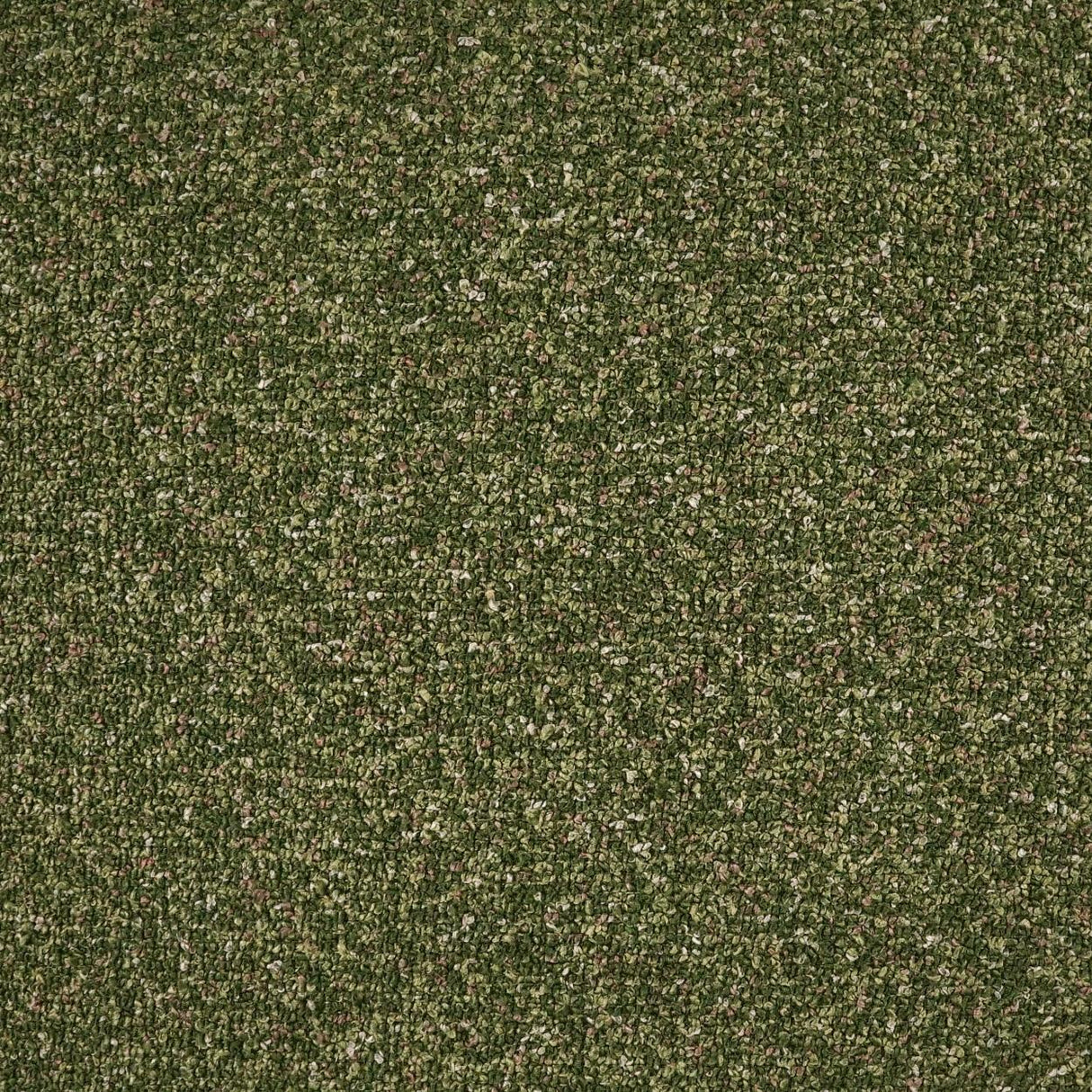 D.V. Kap Home Weiss Pine Fabric