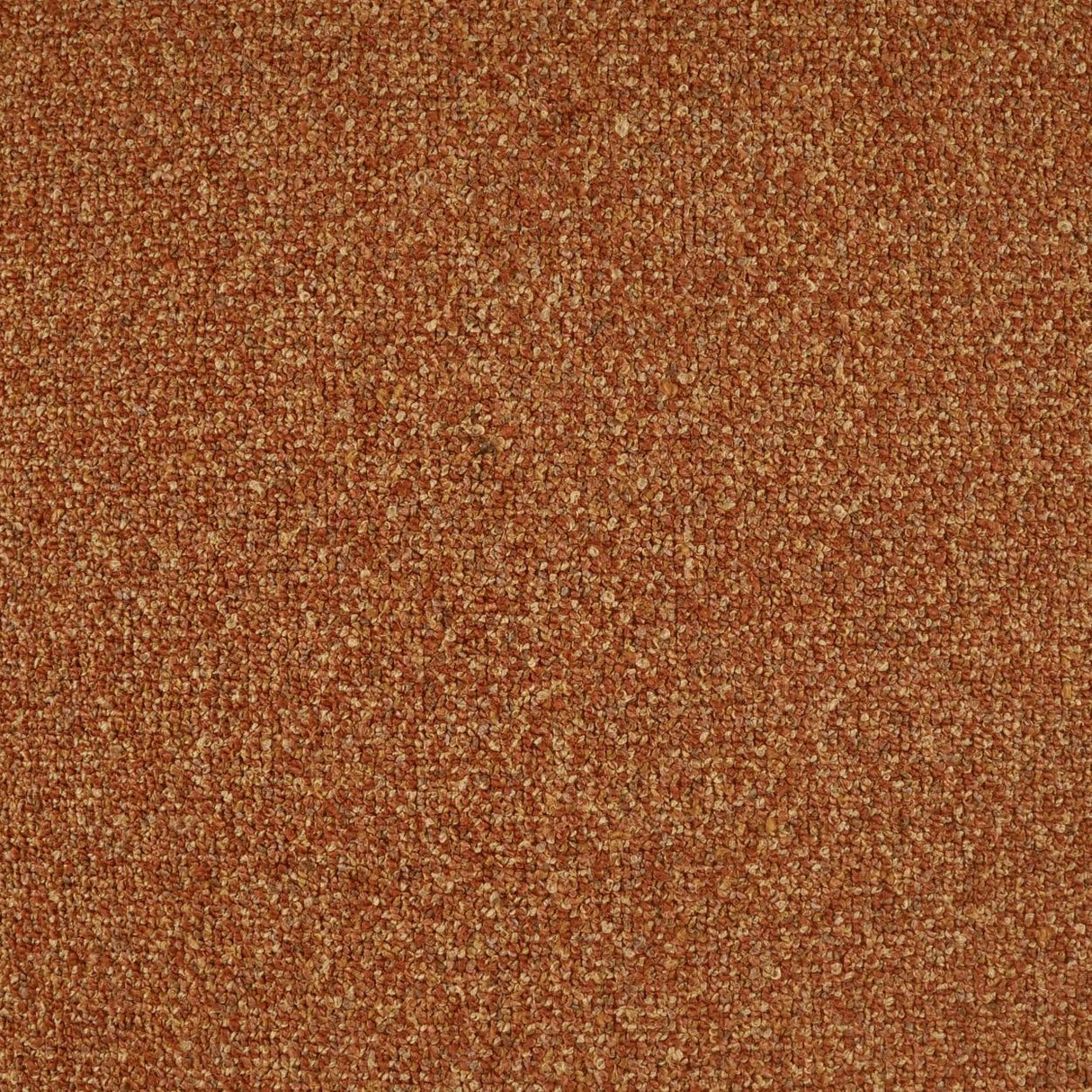 D.V. Kap Home Weiss Terracotta Fabric