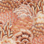 D.V. Kap Home Milla Sorbet Fabric