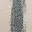 D.V. Kap Home Imagine Denim Fabric