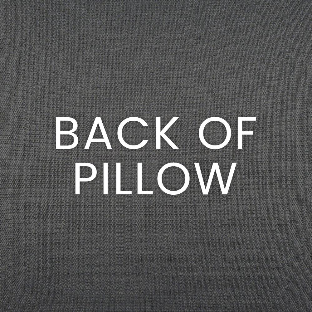 D.V. Kap Home Clukey Portabella 22" x 22" Outdoor Pillow