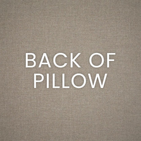 D.V. Kap Home Clukey Salmon 22" x 22" Outdoor Pillow