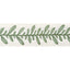 Anna French Calathea Tape Juniper Trim