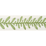 Anna French Calathea Tape Spring Trim