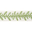 Anna French Calathea Tape Spring Trim