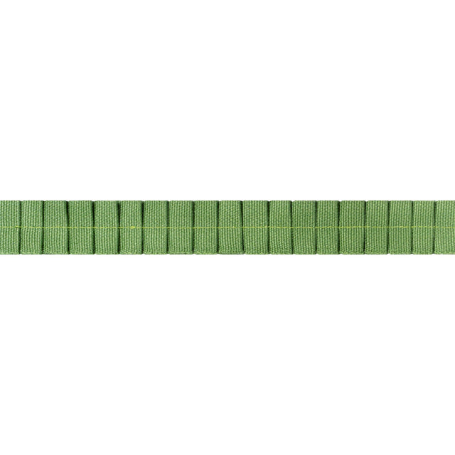 Thibaut Pleated Tape Kelly Trim