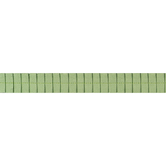 Thibaut Pleated Tape Spring Trim