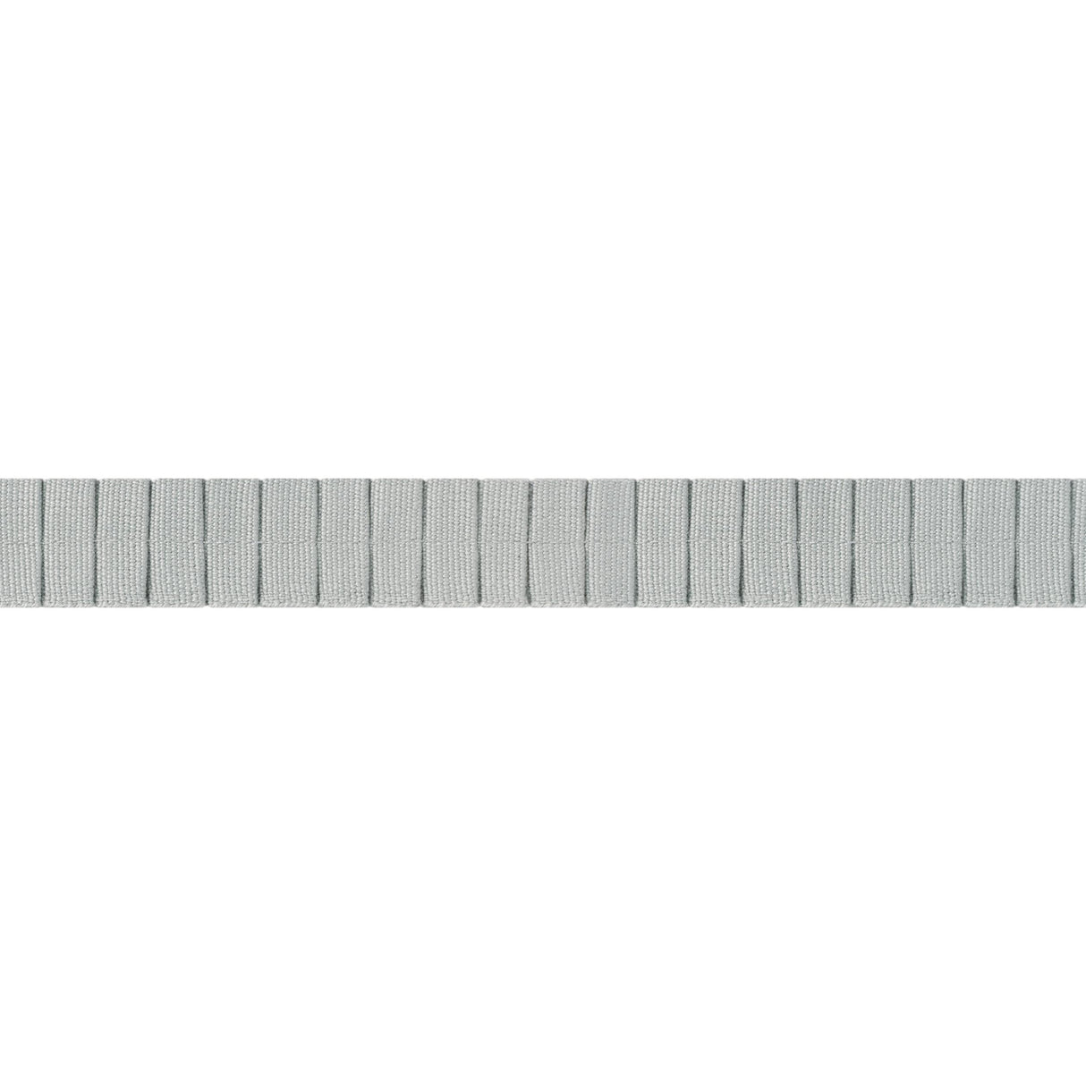 Thibaut Pleated Tape Platinum Trim