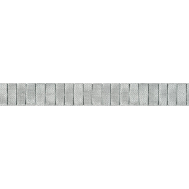 Thibaut Pleated Tape Platinum Trim