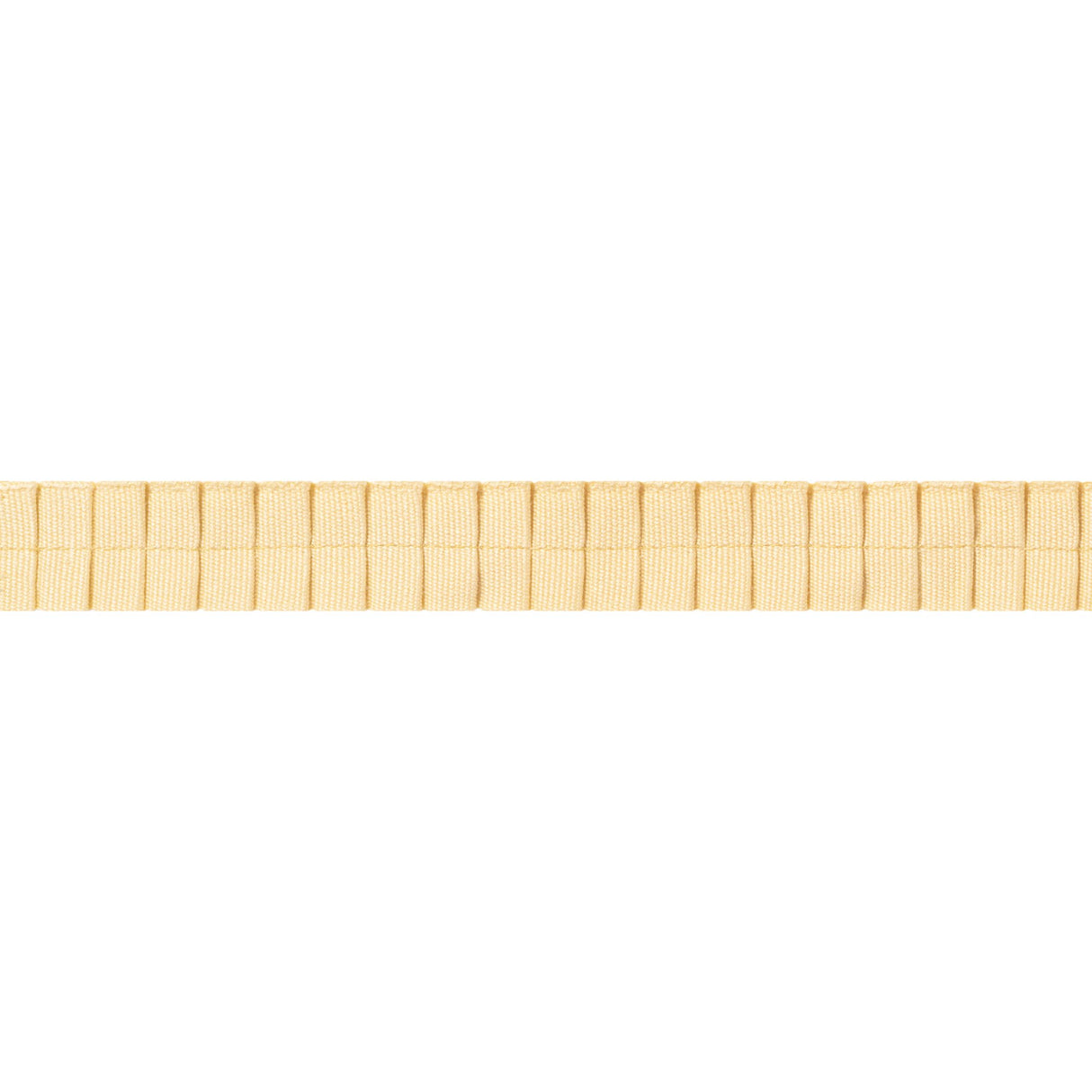 Thibaut Pleated Tape Sunshine Trim