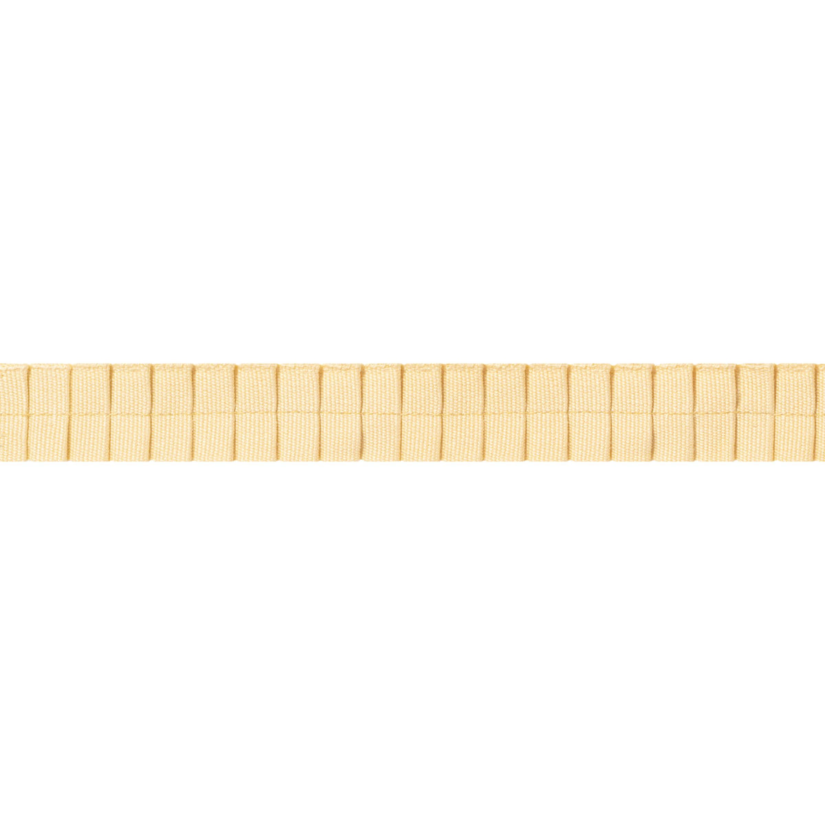 Thibaut Pleated Tape Sunshine Trim