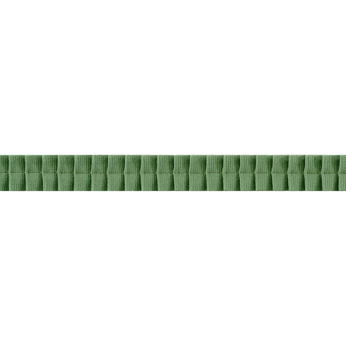 Thibaut Pleated Tape Forest Trim