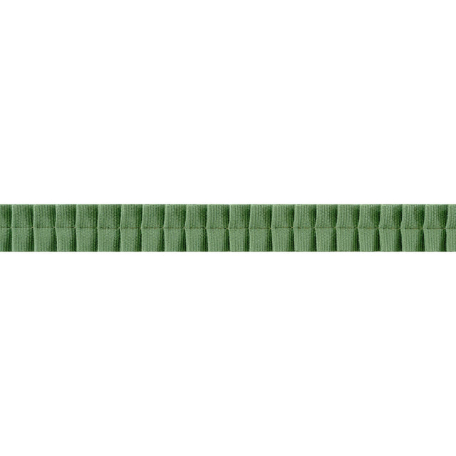 Thibaut Pleated Tape Forest Trim