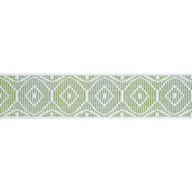 Thibaut Knox Tape Leaf Trim