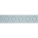 Thibaut Knox Tape Aloe Trim