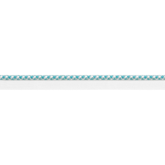 Thibaut Surrey Cord Capri Trim