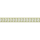 Thibaut Westport Tape Spring Green Trim