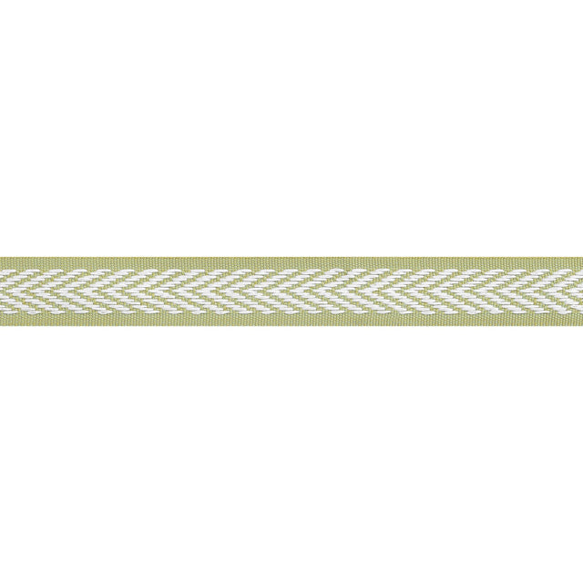 Thibaut Westport Tape Spring Green Trim